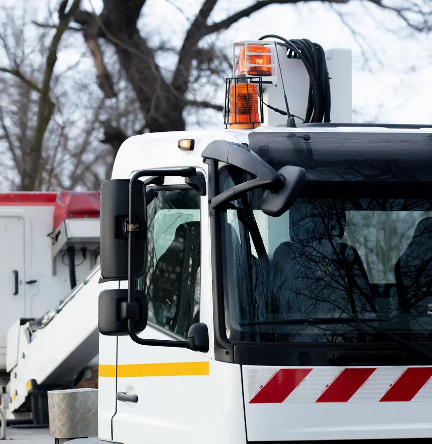 Imagen de Gráficos y estadísticas