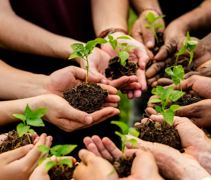 Imagen de Gráficos y estadísticas